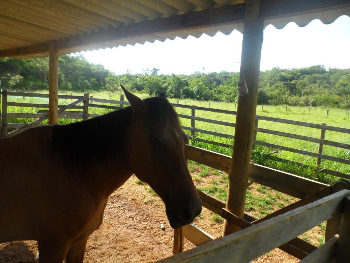 Pousada Estancia Macaubas - São Roque de Minas Kültér fotó